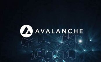 Waa Maxay Avalanche (AVAX)?