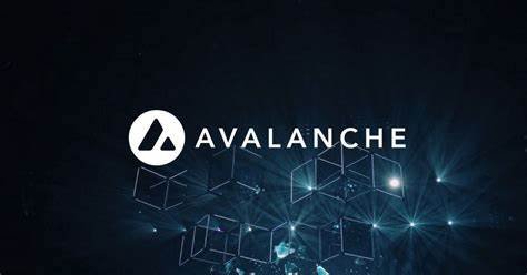 Waa Maxay Avalanche (AVAX)?